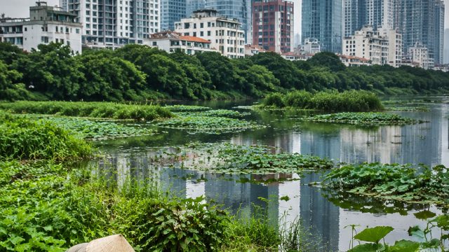 Balancing Urban Development and Nature to Combat Vietnam's Flooding Crisis | totobet info kita, alex