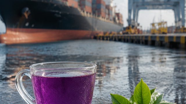 Murang'a Purple Tea Makes a Splash at International Export Market | jackpot86 slot, muara777