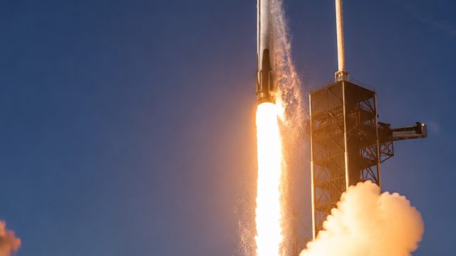 SpaceX Stock Experiences Volatility: What It Means for Investors | dame yo dame dame anime apa, link