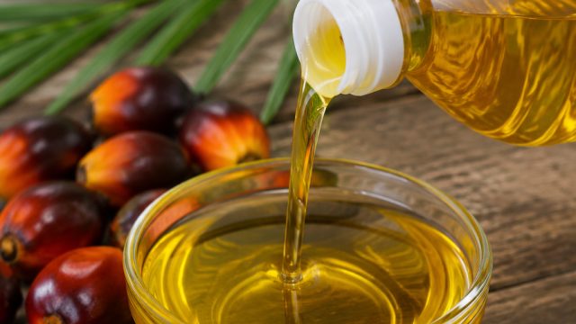 Export: Telangana urges Centre to raise duty on palm oil imports