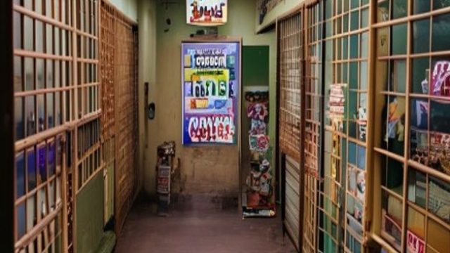 Transforming Lives: South African Prisons Launch Art Galleries for Inmates